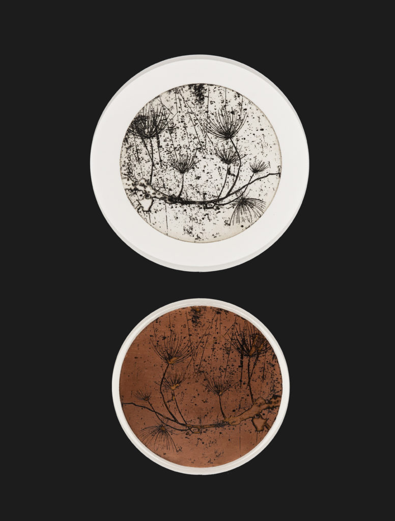 Baumstruktur / Contemporary Art Coin - Paul Raas