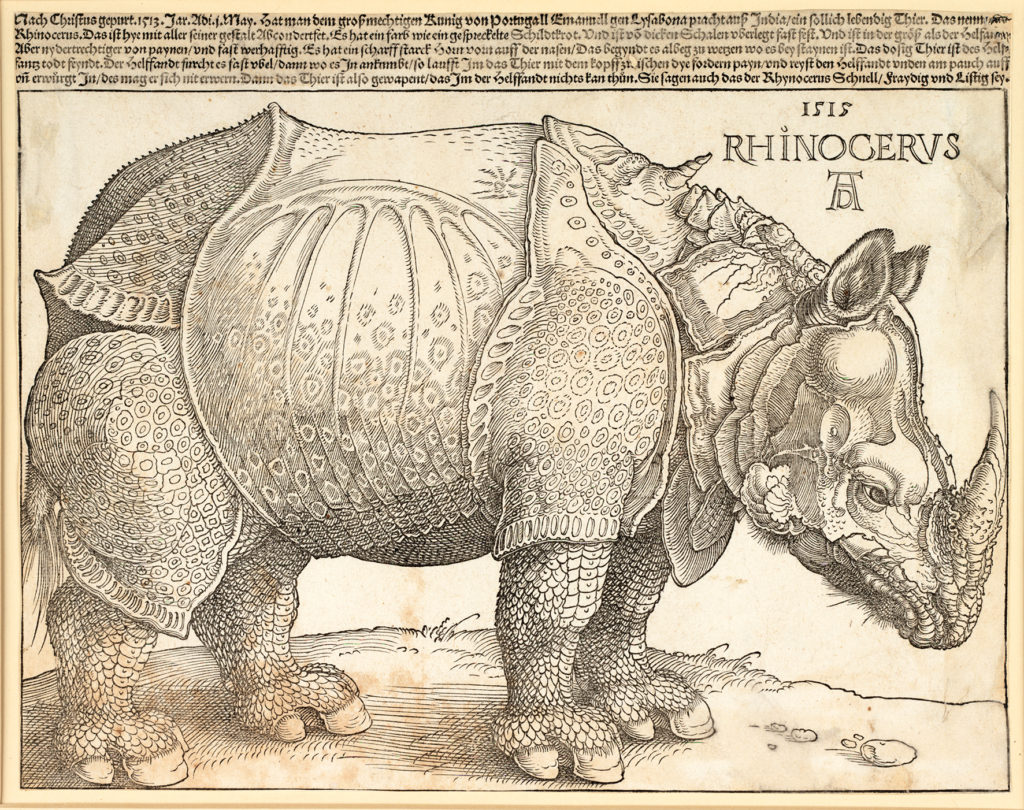 Albrecht Dürer Das Rhinozerus, 1515 Holzschnitt und Typendruck ALBERTINA, Wien