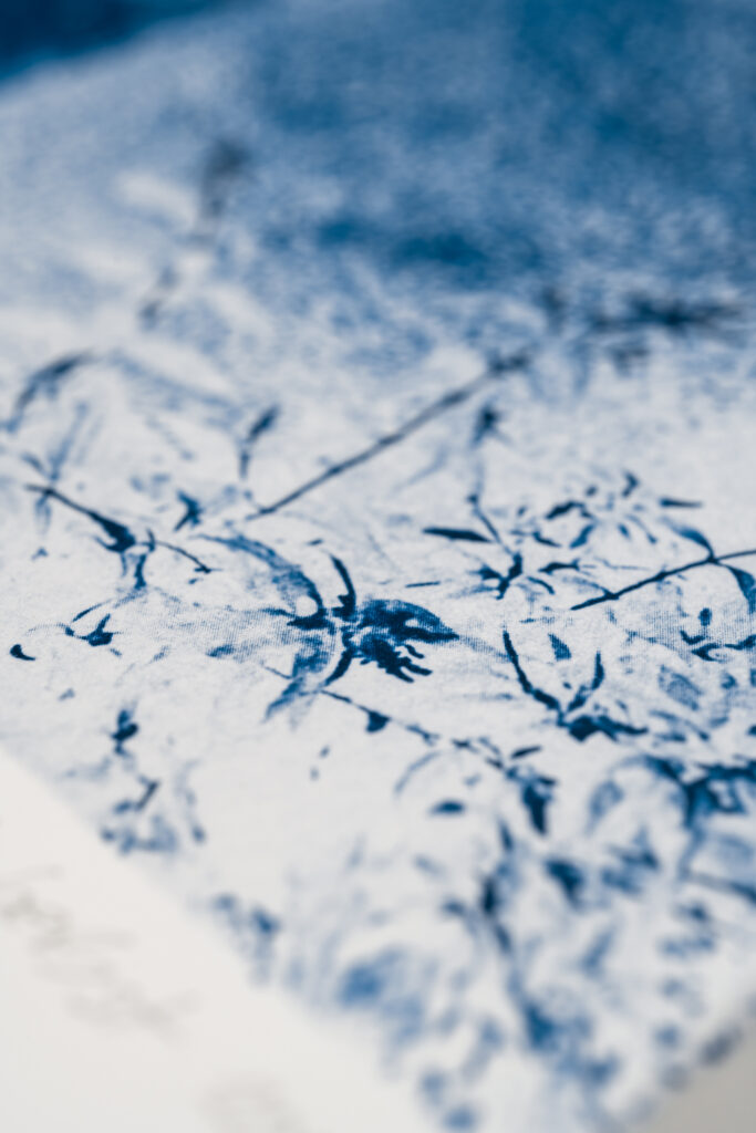 Drucken mit Pflanzen - Cyanotypie von Barbara Herbst